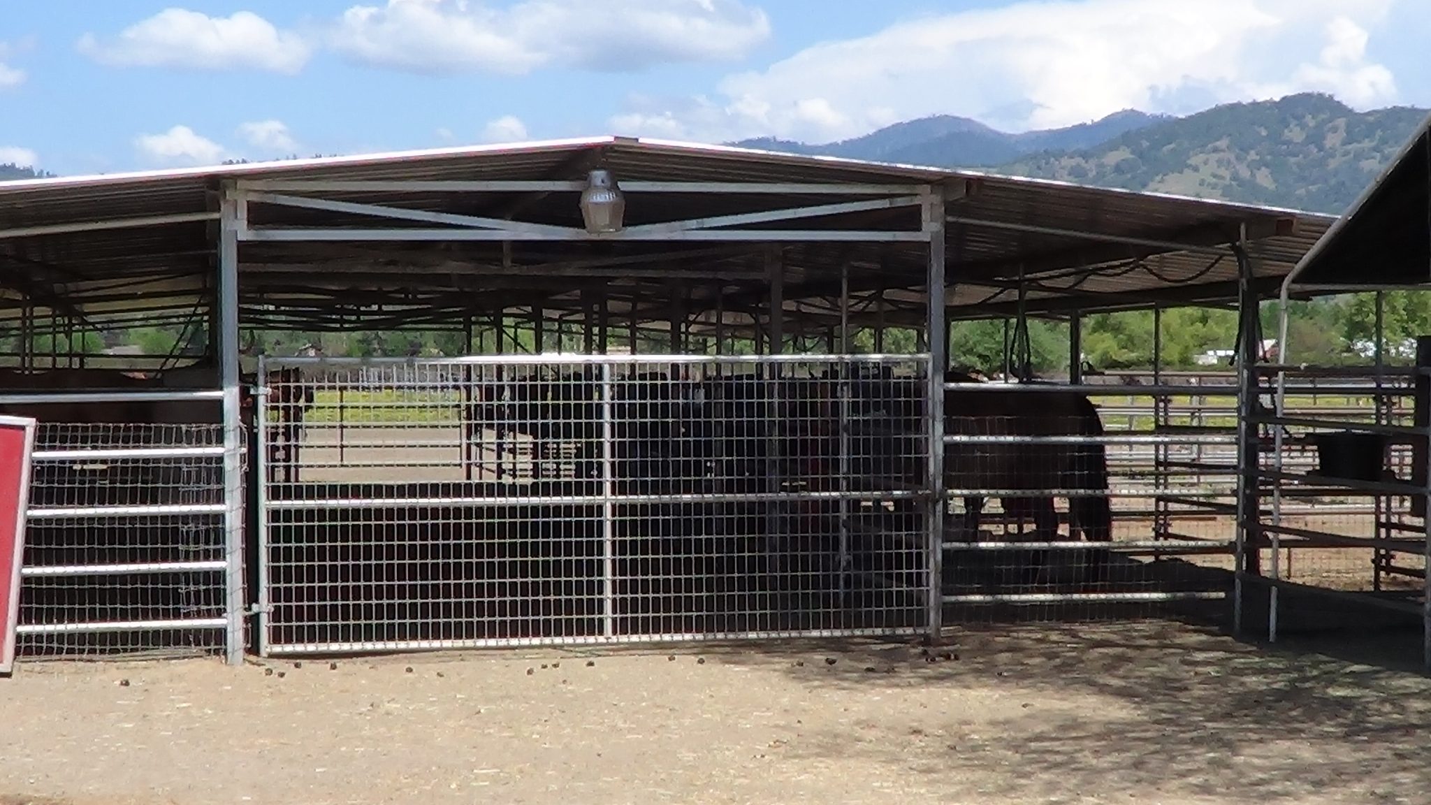 White Dog Ranch – A Full-Service Equine Facility in Potter Valley, CA
